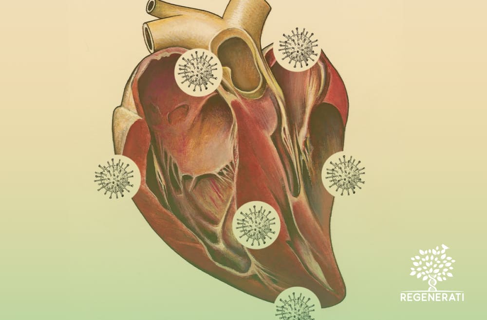 Como o Coronavírus Afeta o Coração